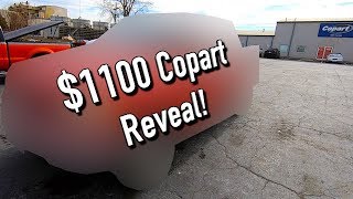 Copart 1100 Win Reveal Another One Copart Salvage Auction [upl. by Yddor]