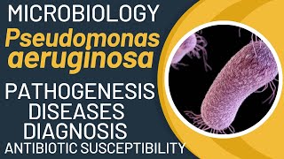 Pseudomonas aeruginosa pathogenesis  general properties virulence factors disease lab tests [upl. by Lotta]