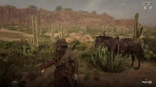 Cinematic Red Dead Online ASMR Longplay [upl. by Augustin]