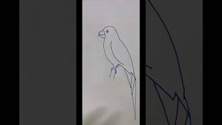 Parrot drawing for kids short youtubeshorts drawing [upl. by Attenna816]