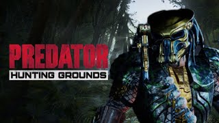 WELCOME TO THE JUNGLE Predator Hunting Grounds Gameplay [upl. by Sandye331]