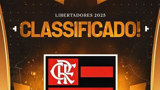 Flamengo classificado para libertadores 2025 [upl. by Assenyl]