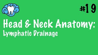 Head amp Neck Anatomy  Craniofacial Lymphatics  INBDE [upl. by Fransis]