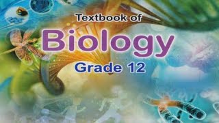 Mechanism of DNA replication xii Biology NBF [upl. by Glenine]