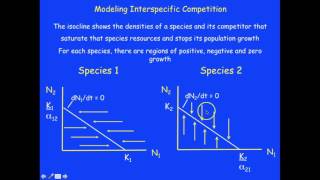 Understanding No Growth Isocline Graphs [upl. by Canice]