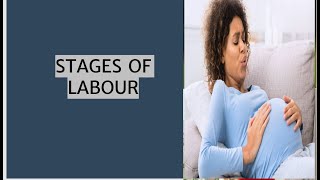 STAGES OF LABOUR [upl. by Tombaugh517]