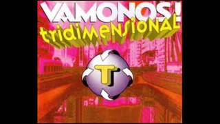 Tridimensional  Vamonosremix 98 [upl. by Boar]