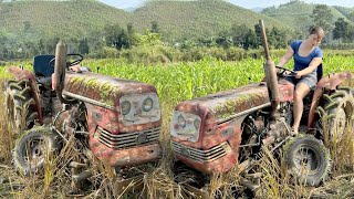 Repair Complete Of Old Agricultural Tractor  Replace Gearbox Bearings Restoration  Blacksmith Girl [upl. by Nosauq]