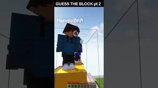 Guess The Block pt 2 in shorts minecraftshorts [upl. by Hsiwhem574]