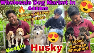 Cheapest Dog Market In Assam 🐕🔥😍  কম দামত কুকুৰ লোক  subovlogs27 [upl. by Anaidni]