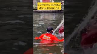 Clean Sabarimalai swamysaranam sabarimalaayyapan [upl. by Akceber271]