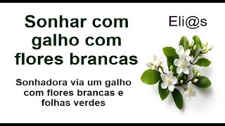 SONHAR COM GALHO COM FLORES BRANCAS E FOLHAS VERDES interpretação [upl. by Otrebcire304]