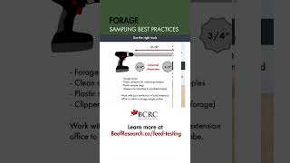 How to collect forage samples farming forage livestockfeed haybales [upl. by Catima]