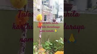 karthika pournami puja  tulasi datri puja  daily vlog [upl. by Sutsuj]