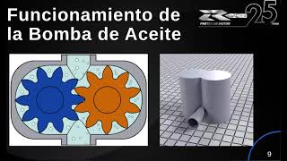 Todo lo que debes saber acerca de las bombas de aceite  REXITE [upl. by Zaria]