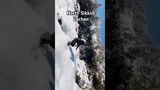 North Sikkim lachen lachen sikkim shorts shortvideo viralvideo viralshort [upl. by Vokay22]