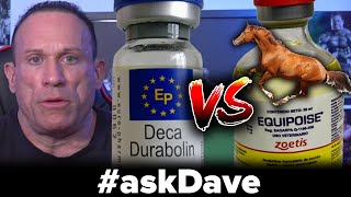 DECA vs EQUIPOISE Better MASS Builder askDave [upl. by Atinob252]