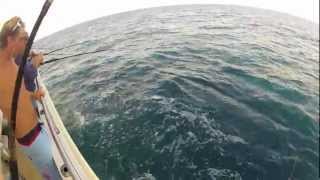 Offshore Bottom Fishing on the Majesty party boat in Jacksonville FL [upl. by Mickey67]