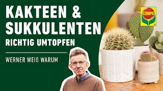 Kakteen und Sukkulenten richtig umtopfen [upl. by Nyleimaj539]