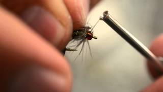 Shopdust Caddis Emerger [upl. by Ahsienat]