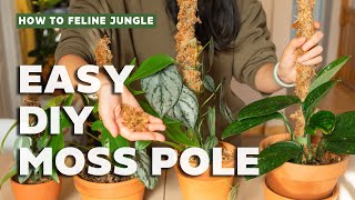 Easy DIY Moss Pole Tutorial l DIY Sphagnum Moss Pole for your Plants [upl. by Luane]