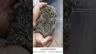 How to Clean Seeds with the Zig Zag Air Separator and Thyme Cleaner seedcleaning seedprocessing [upl. by Edmund]