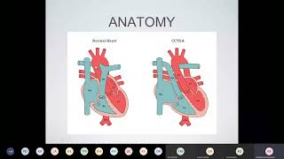 ccTGA anatomy physiology embryology by Dr Bernadette Khodaghalian [upl. by Ynatirb]