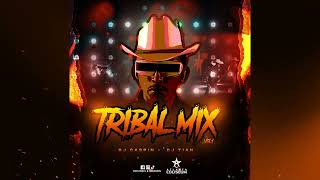 Tribal Mix Vol 1  DJ Caspin Ft DJ Tian [upl. by Enobe]