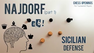 The Najdorf part 1 ⎸Sicilian Defense Theory [upl. by Iras736]