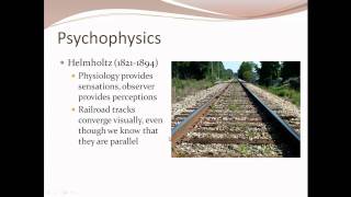 3Ps  Physiology Phrenology and Psychophysics [upl. by Copland]