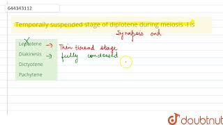 Temporaily suspended stage of diplotene during meiosis I is  12  CELL CYCLE AND CELL DIVISIO [upl. by Ingalls]