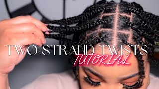 How to Achieve the Perfect Two Strand Twists NO HAIR ADDED Protective Style [upl. by Ennoitna]