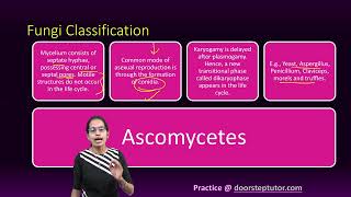 Fungi Classification Phycomycetes Ascomycetes Basidiomycetes Deuteromycetes [upl. by Ahsillek]