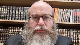 Rabbiner Yosef Havlin Schiur Halacha Chanukka [upl. by Midis900]