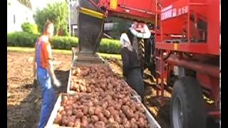 Выращивание картофеля в Норвегии Technology of growing potatoes [upl. by Manville]