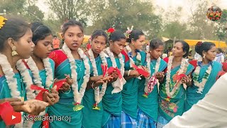 ghane ghanein dulari  santhali video full 2024nachargharojdancesantalichapridance lagreenech [upl. by Gnah]