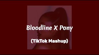 bloodline x pony mashup  ariana grande ginuwine lyrics [upl. by Nnaytsirk]