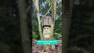 Regrowing A Carved Tree Stump 🌳😲 [upl. by Aynotahs]