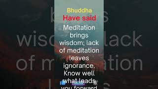 29 motivation buddhawords quotes [upl. by Llovera]