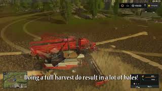 Fs 17  Hagenstedt  Timelapse 5  Seeding amp Harvest Part 22 [upl. by Kancler]