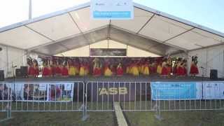 Marcellin College Indian Polyfest Group 2015 [upl. by Gianina]