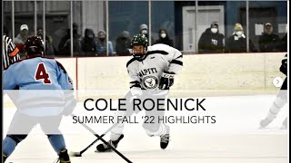 COLE ROENICK 23 RIGHT WING 62quot 200LBS [upl. by Terag]