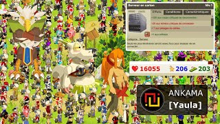 DOFUS RETRO TEMPORIS III 3  ANKARTON amp MODO [upl. by Varhol]