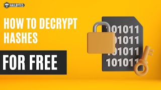 Decrypt Hashes Fast With This Free Online Tool [upl. by Etnomal712]