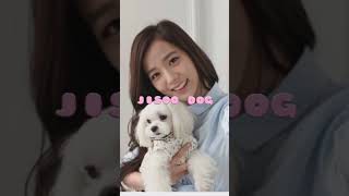 jisoo vs Jennie😏✨ blackpink kpop 🍉 [upl. by Don721]