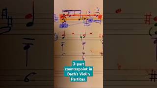 Counterpoint in Bach’s solo violin analysis bach musictheory counterpoint jsb partita shorts [upl. by Neik427]