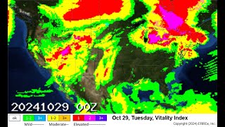 Oct 29 2024 Weather health risk [upl. by Aihsiek273]