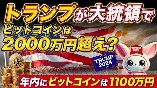 年内バブルくるぞ！！！ トランプ当選で大勝利！ １BTCが2000万円の仮想通貨バブル突入 [upl. by Obidiah]