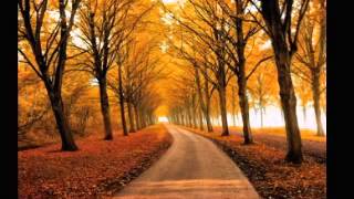 VIVALDIAutunno autumn [upl. by Vincenz]