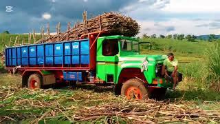 FIRST TRIP NI GREEN FORDBUHAY TAPAS KARGASEASON NA NAMAN NG SUGARCANE HARVEST SUGARCANEHAULING [upl. by Anaejer]